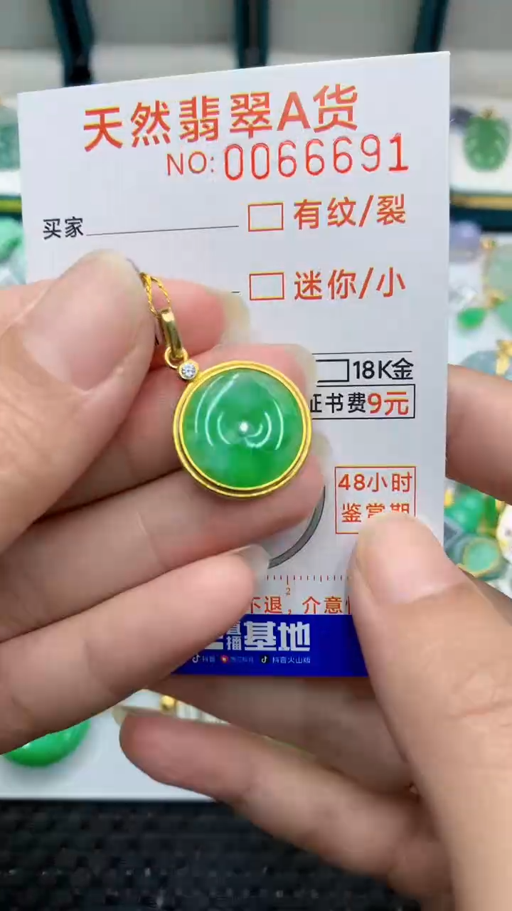 【闪购商品】翡翠颈饰银S925镶嵌            8