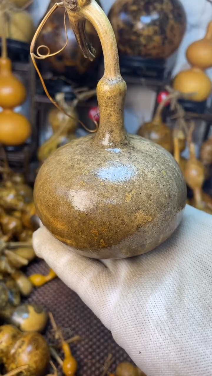 【闪购商品】葫芦葫芦葫芦葫芦