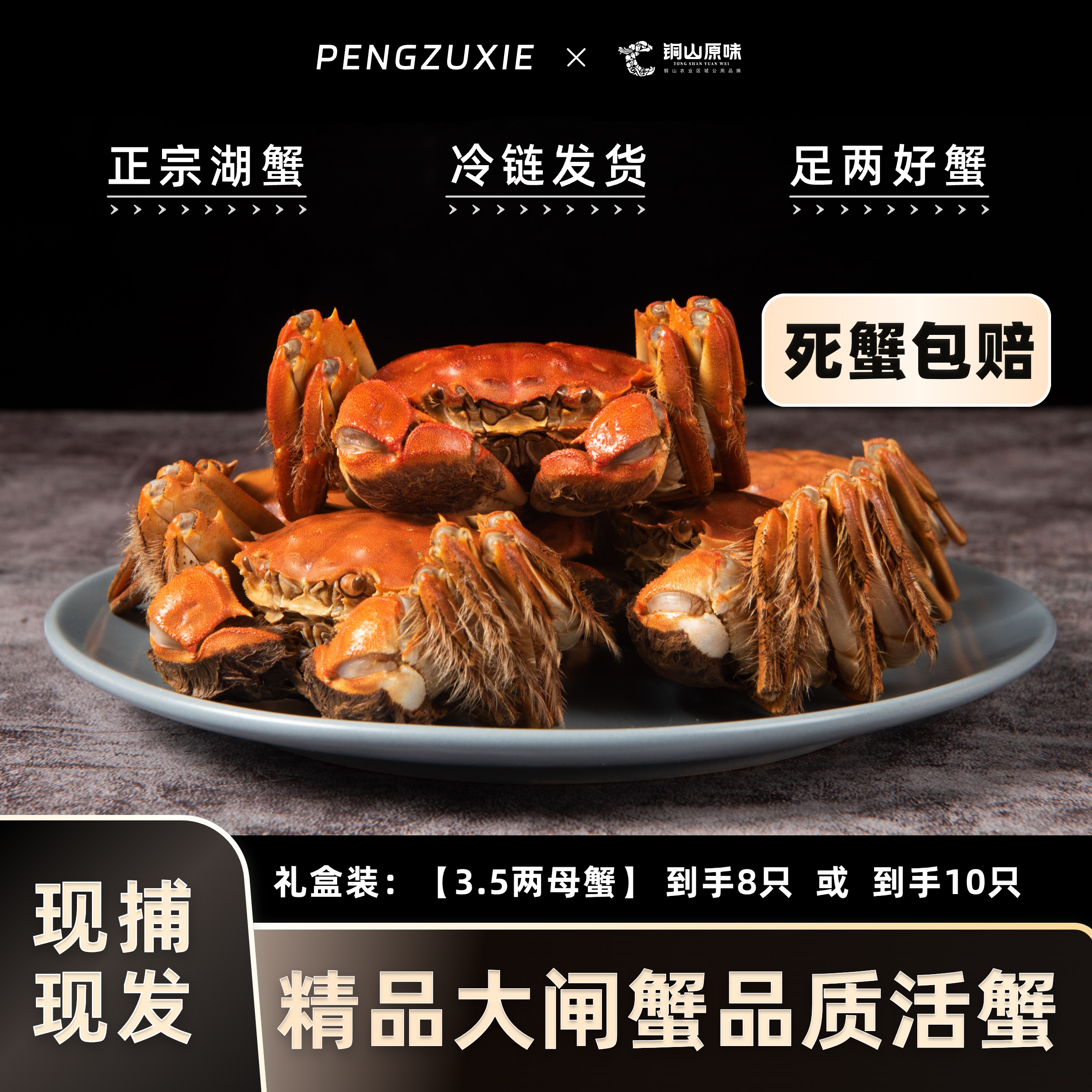 【活蟹】3..7两-3..4两 8+2只全母苏州精品大闸蟹 鲜活现捞包邮上门