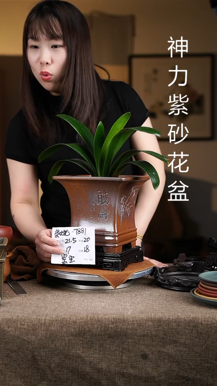 紫砂花盆紫砂花盆7881