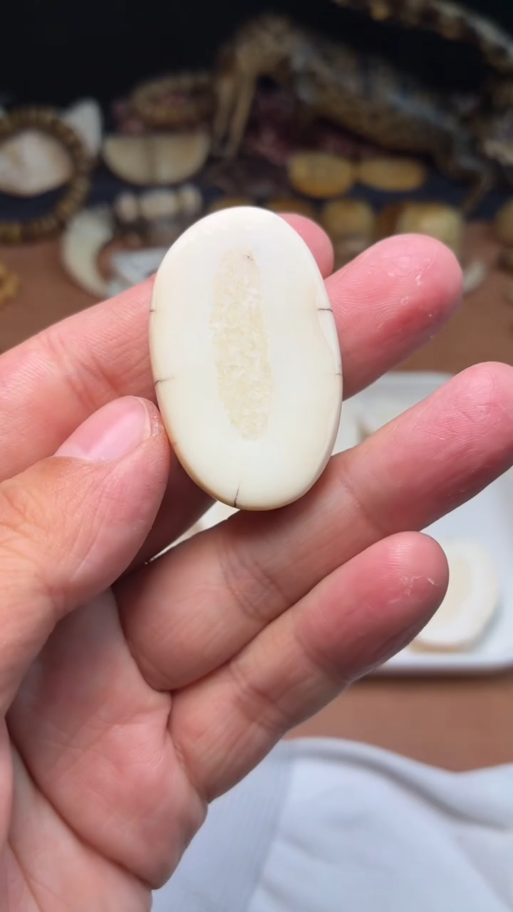 吊坠猛犸象牙王*龙杂件075-饼子吊坠