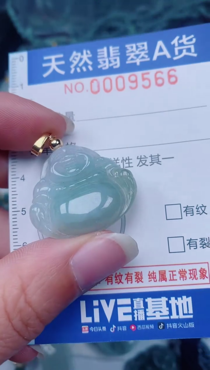 颈饰未镶嵌翡翠00009566