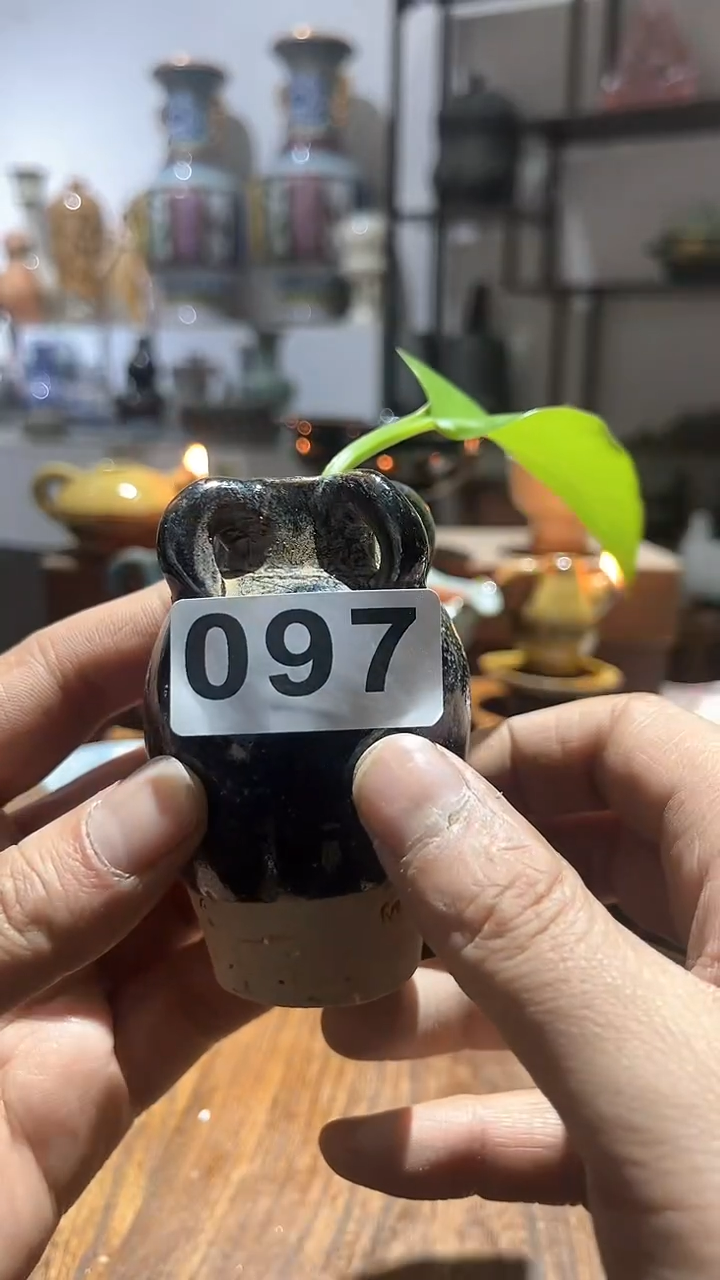 【闪购商品】摆件                