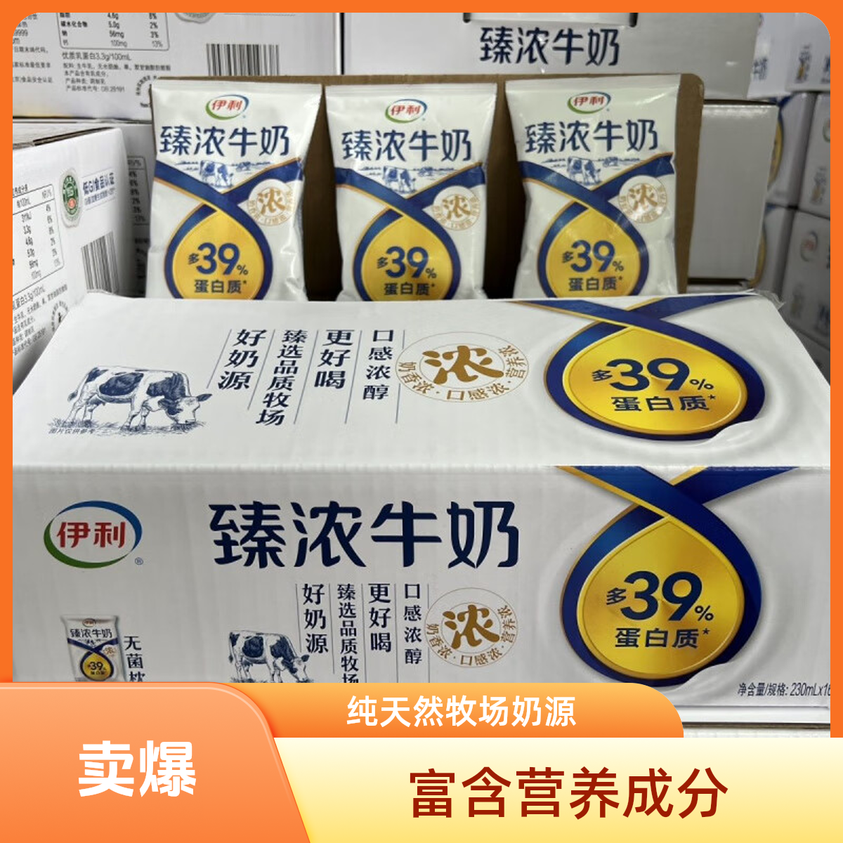 伊利 臻浓牛奶230ml×16