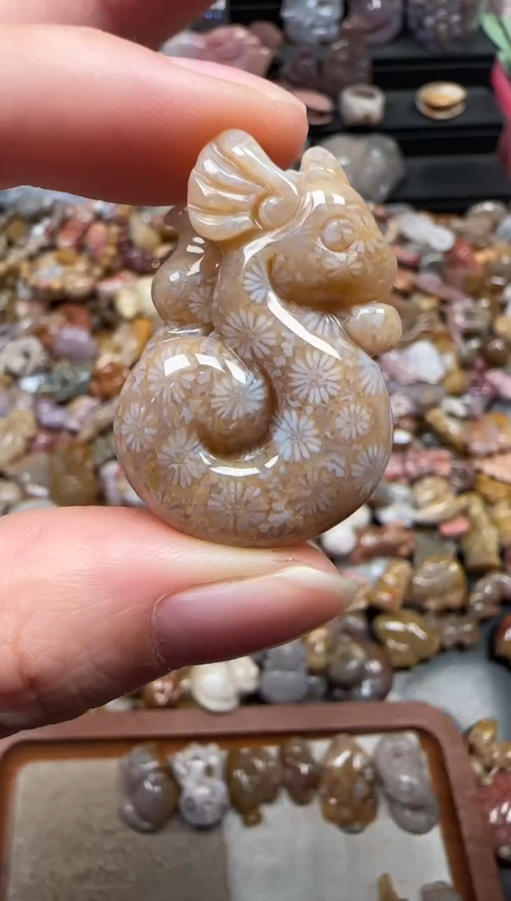 颈饰未镶嵌硅化珊瑚（珊瑚玉）655