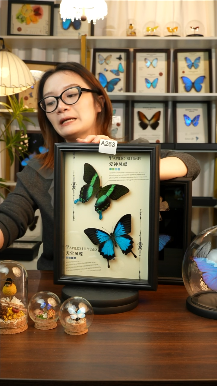 爱神凤蝶天堂凤蝶组合款(A4欧式黑框)A263