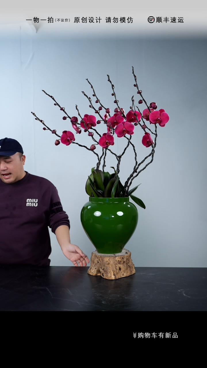 【闪购商品】048号链接【一物一拍】艺术盆景