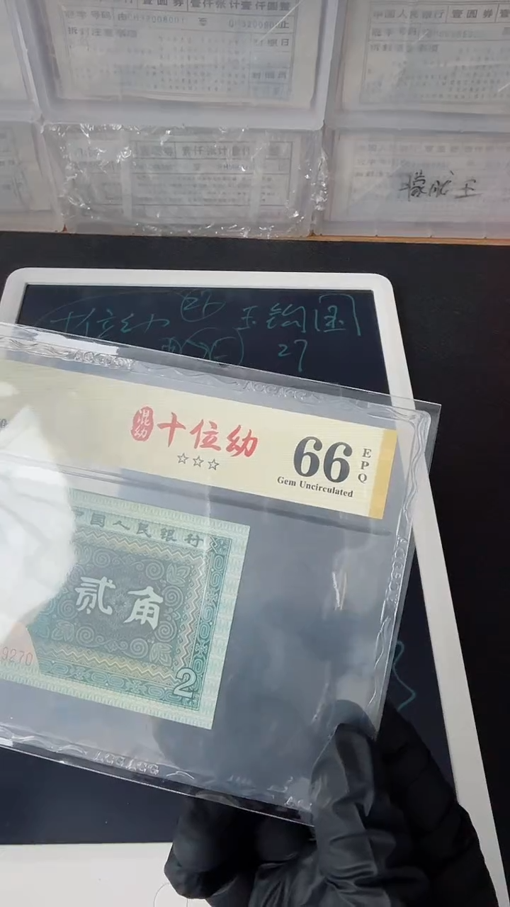 【闪购商品】8002十位幼单张ZD69959210