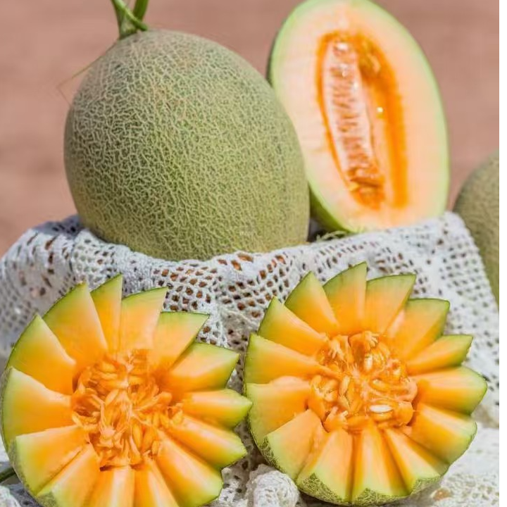 山河田园 哈密瓜1到2颗2.7斤到6斤左右