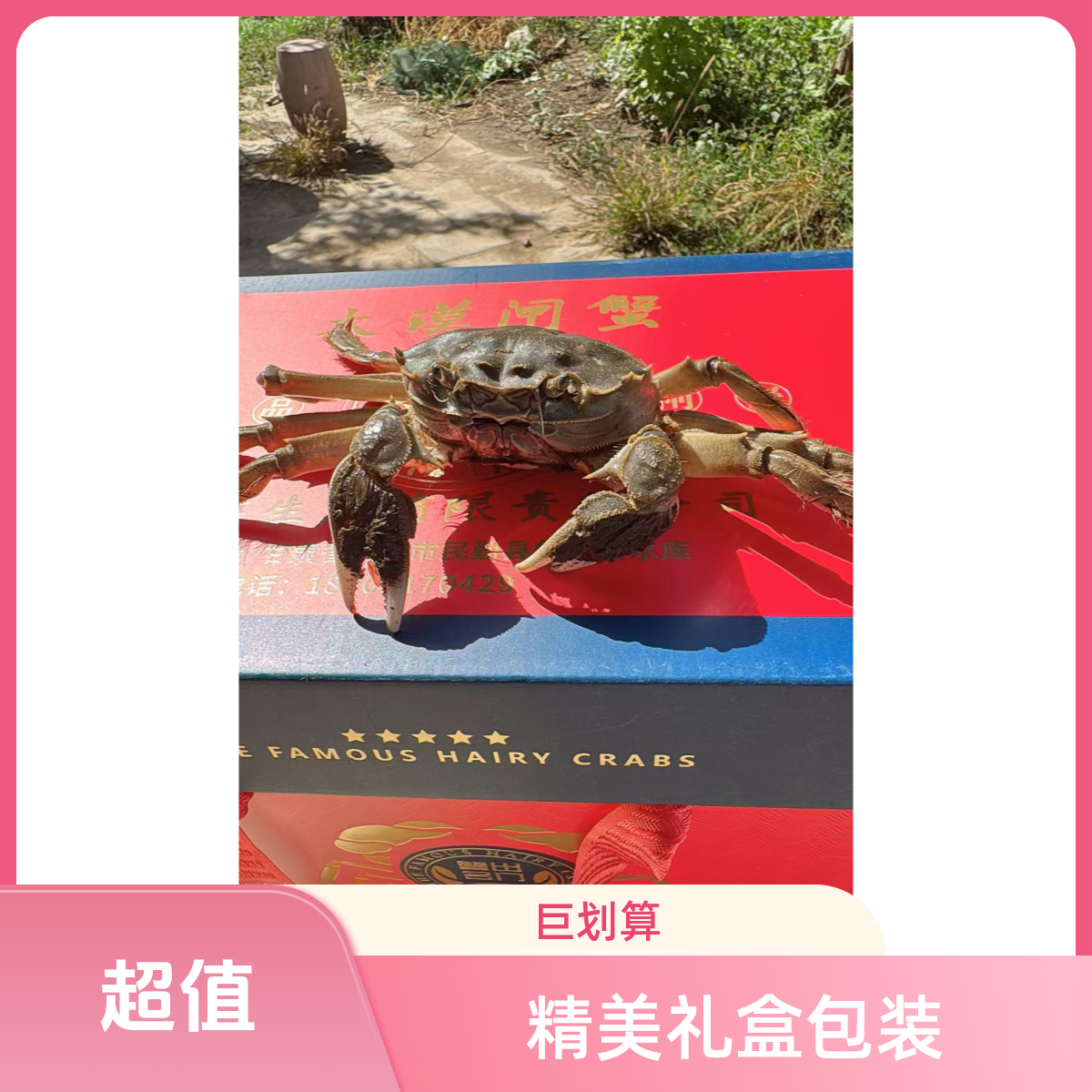 礼盒装【甘肃河蟹】顺丰次日达送货上门河蟹公蟹2.2-2.5两母蟹2.0-1.7两左右/只14-16只左右海鲜