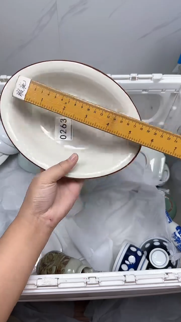 【闪购商品】263回流瓷器默认微瑕，18.8包邮