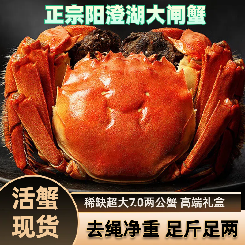 【阳澄湖大闸蟹】活蟹7.0两超大公蟹4/6/8只高端礼盒装鲜活顺丰塘养