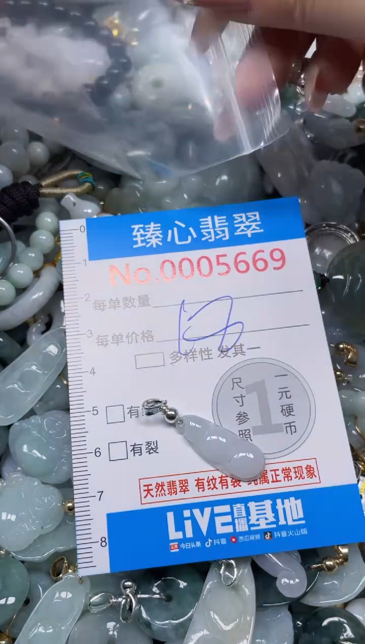 颈饰未镶嵌翡翠5669