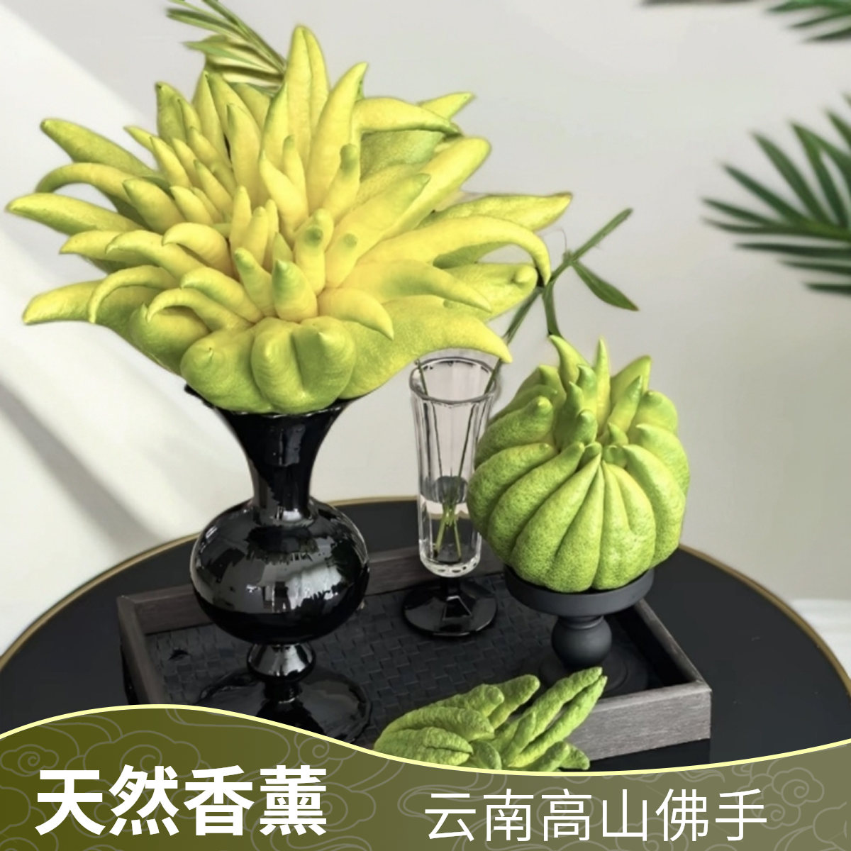 【高山佛手】云南基地现采现发可闻香可观赏天然香薰佳品高级小众