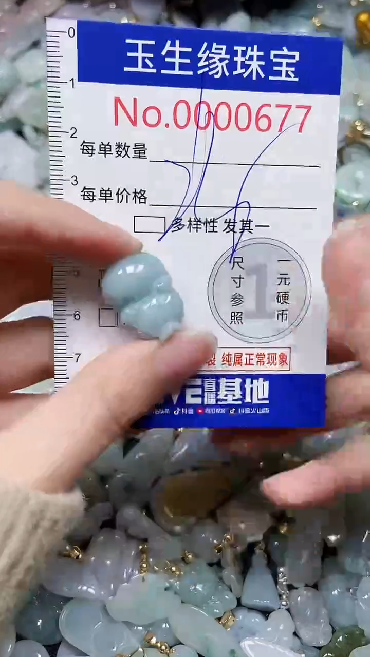 【闪购商品】翡翠颈饰未镶嵌闪购00000677