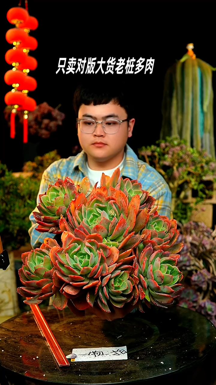 【闪购商品】22号超大彩蝶仙子
