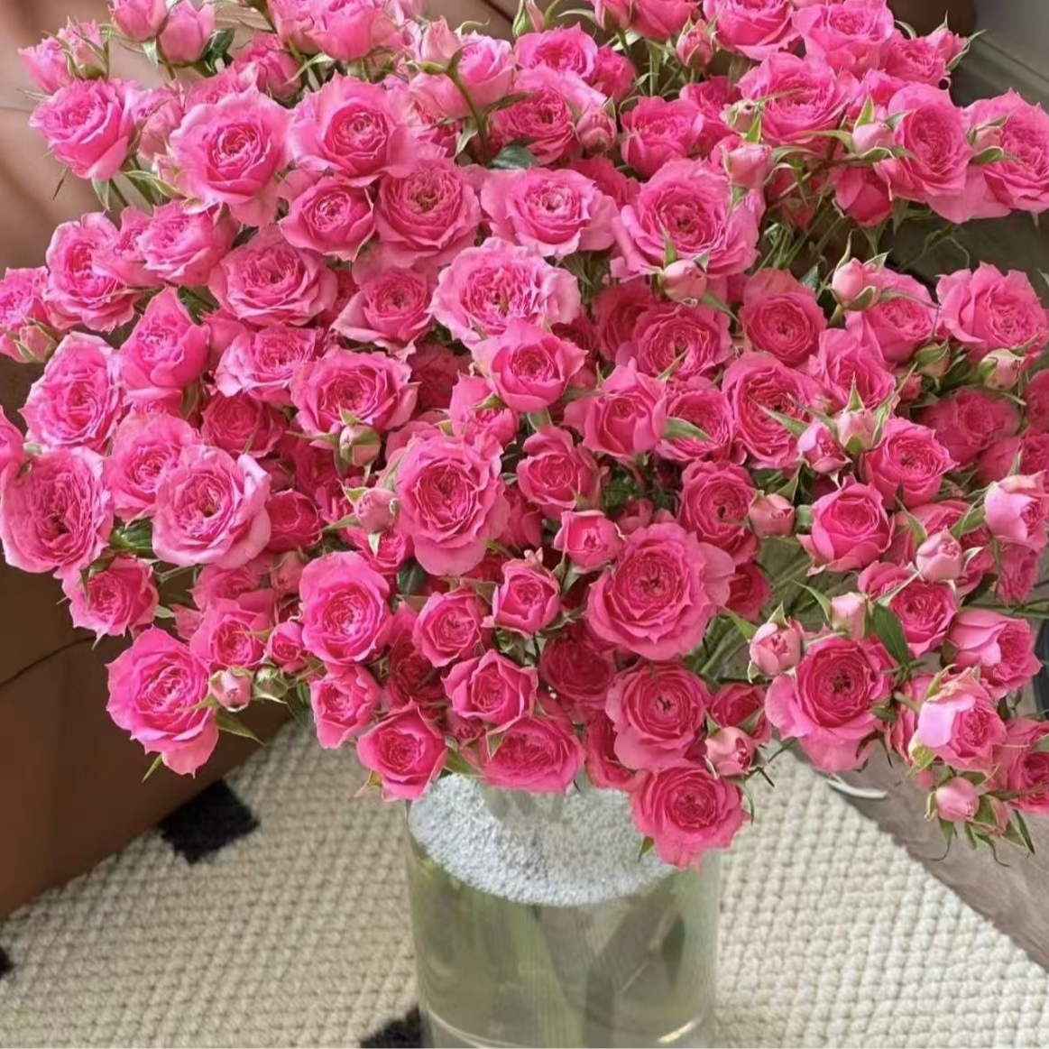 【云梦泽】苏菲宝贝玫瑰10枝  2单顺丰冷链包邮