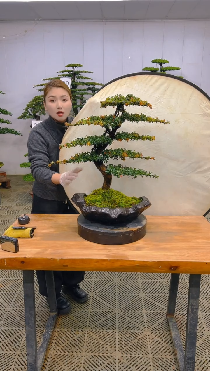 无花朵一物一拍一物一拍