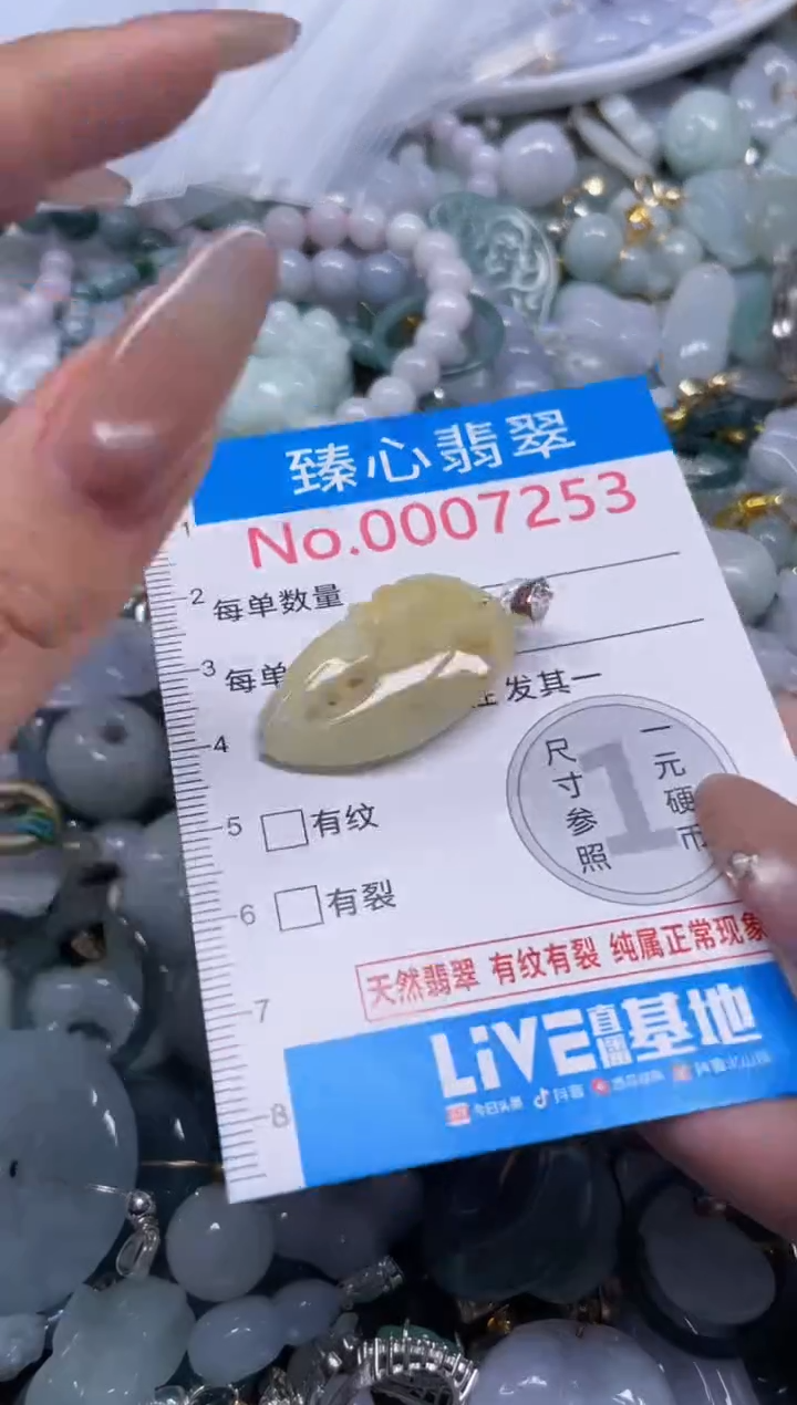 颈饰未镶嵌翡翠7253