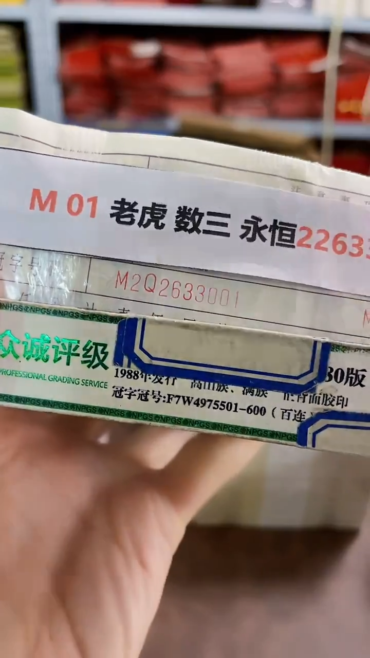 M  01 老虎 数三 永恒22633333