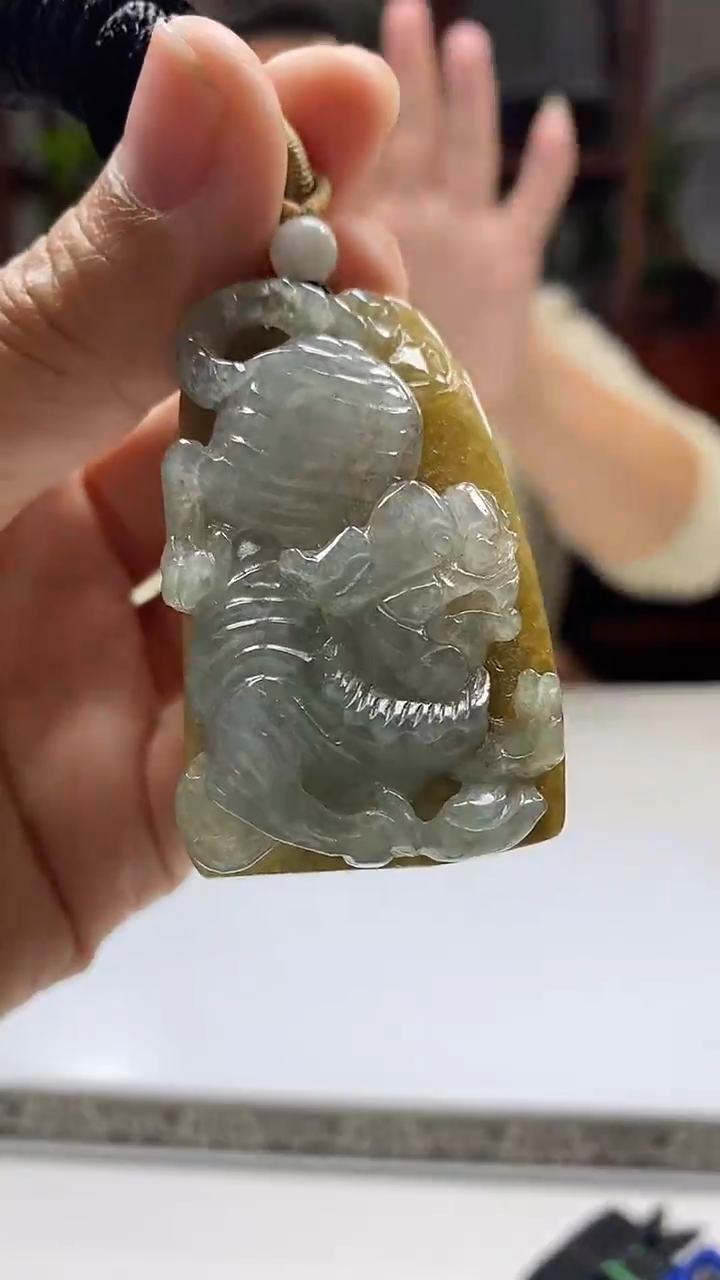 颈饰未镶嵌翡翠翡翠A货2026/01/04