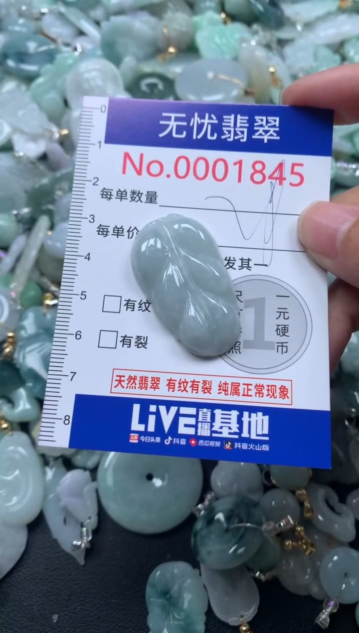 颈饰未镶嵌翡翠1845