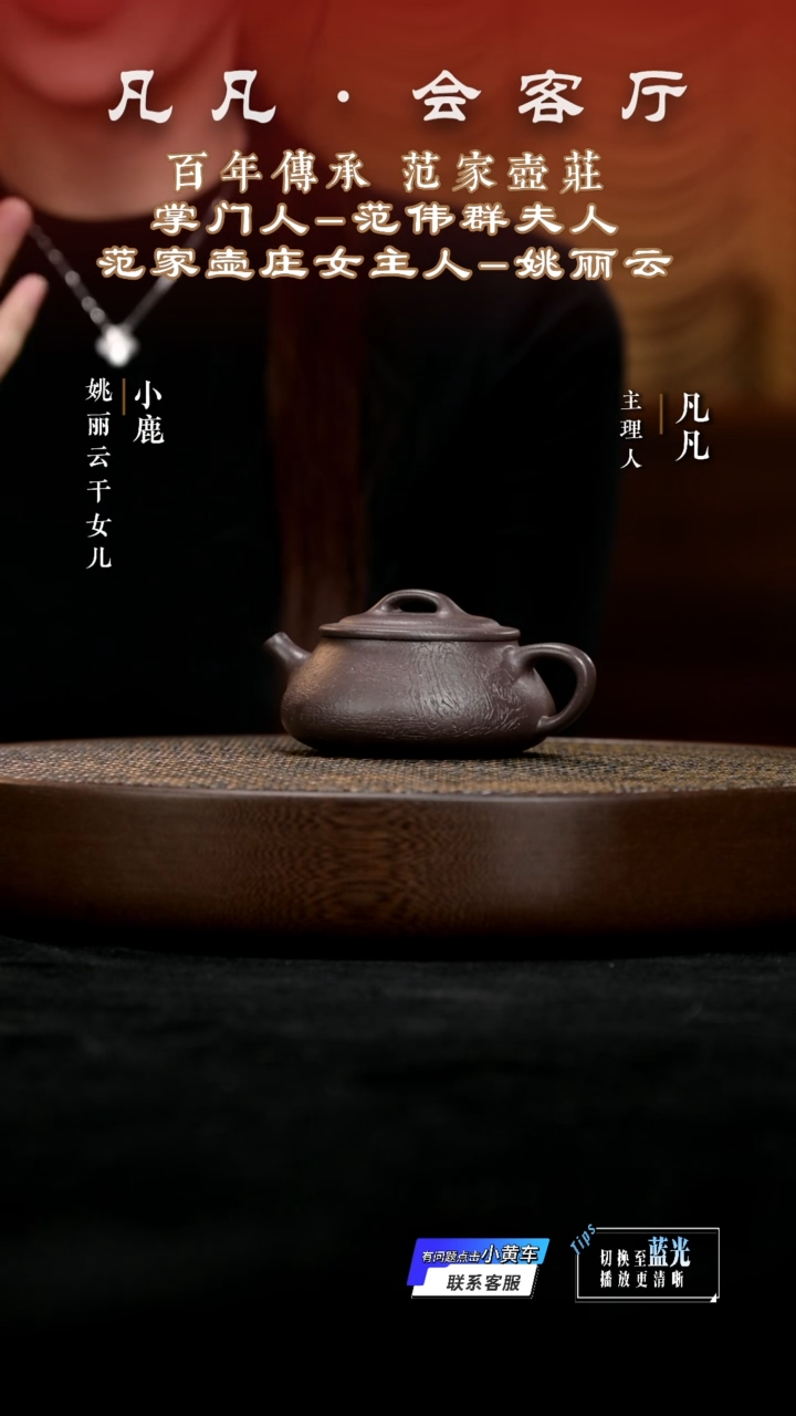 茶壶紫砂凡凡会客厅&姚丽云10 紫砂壶