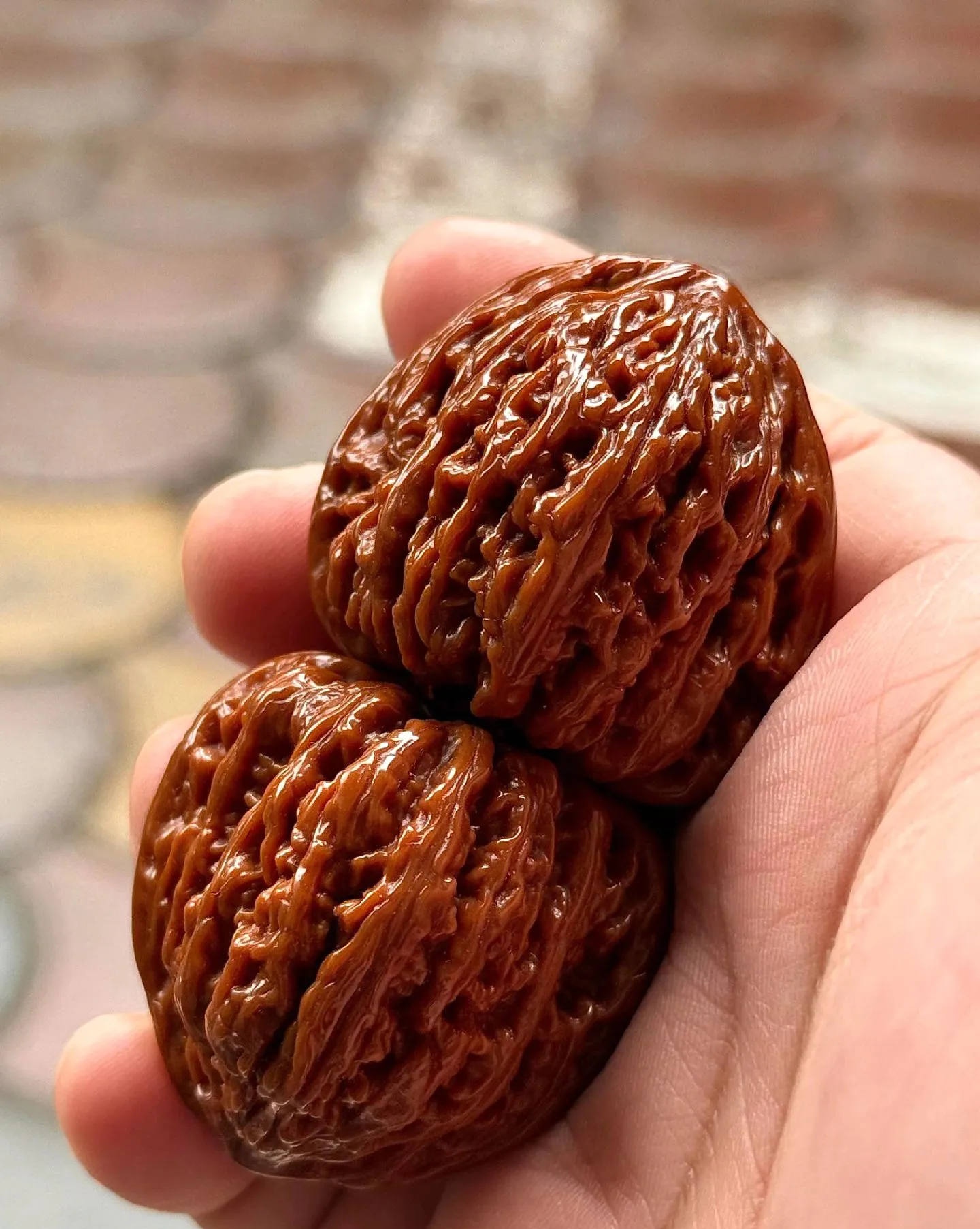 文玩核桃山地承德密文红宝石老树骨质好密度高三角桩型随机发货