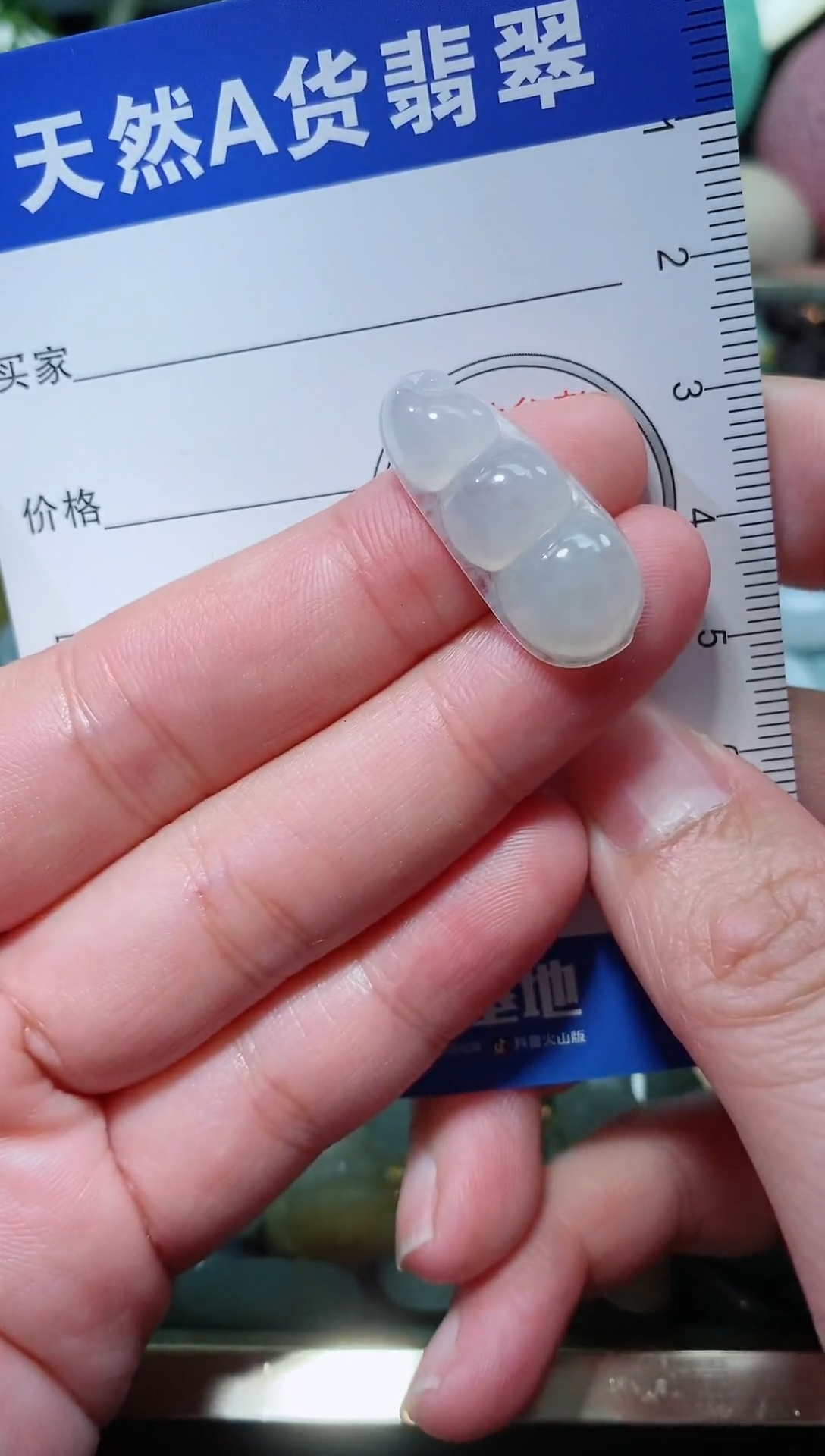 【闪购商品】翡翠颈饰未镶嵌天然A货翡翠一件