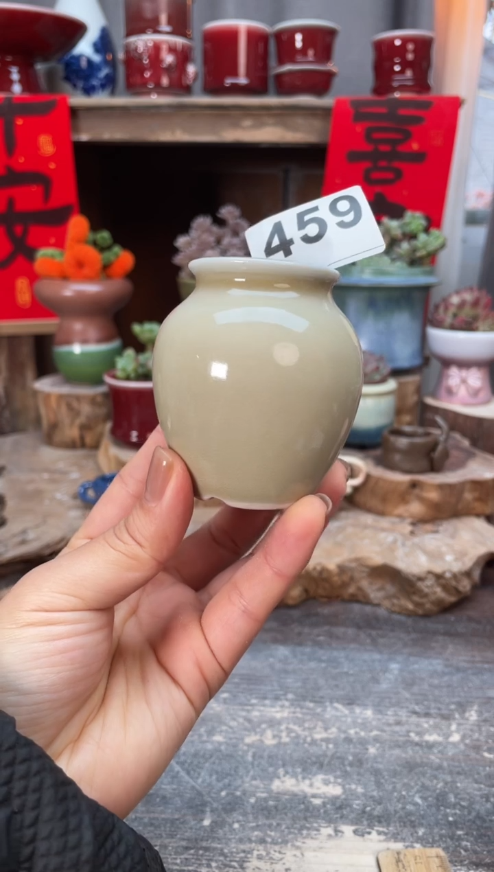 【闪购商品】摆件159知木小芳花盆