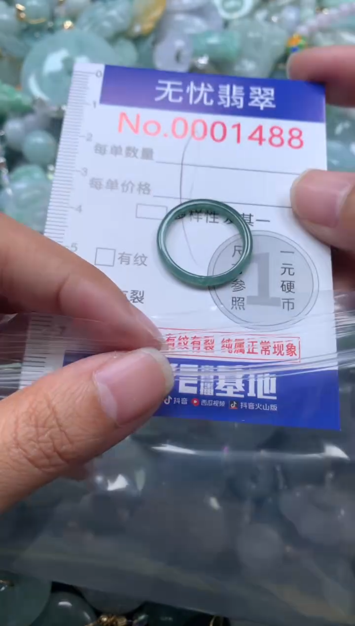 颈饰未镶嵌翡翠1488