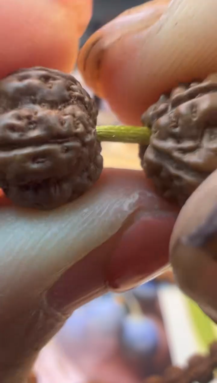 【闪购商品】金刚菩提手串凹底梅花659原生态