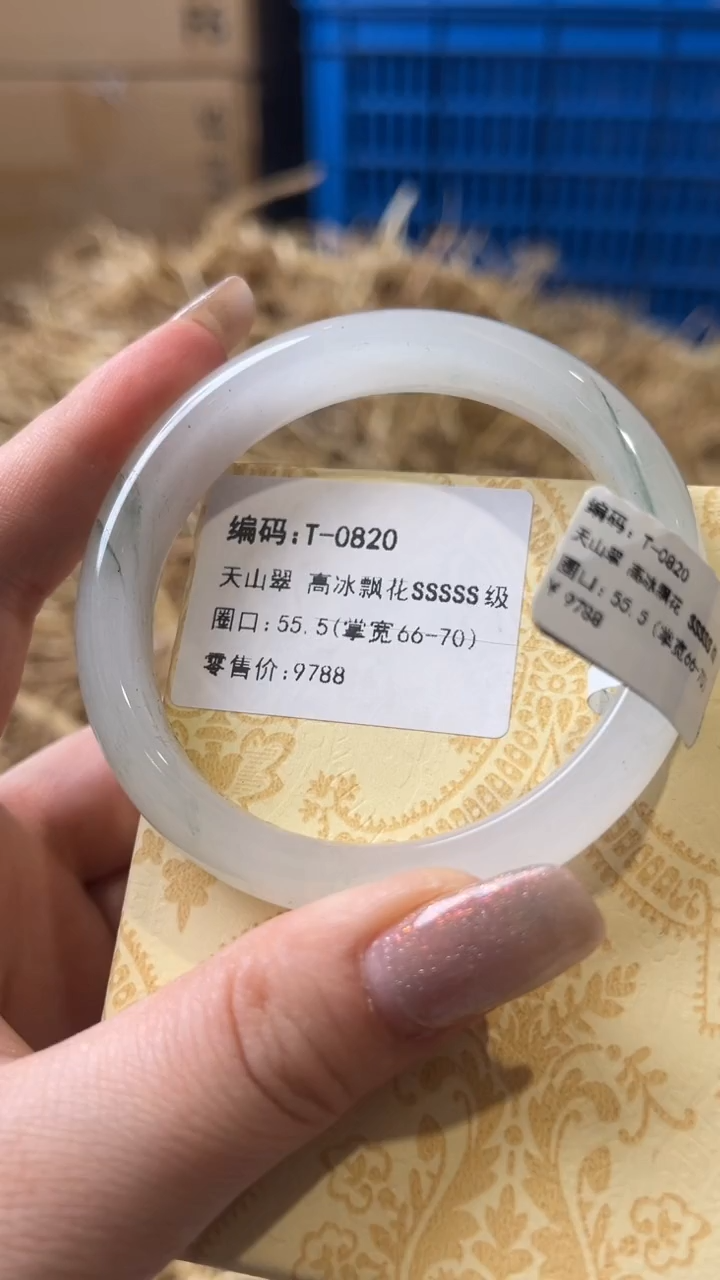 未镶嵌手镯石英质玉T-0820