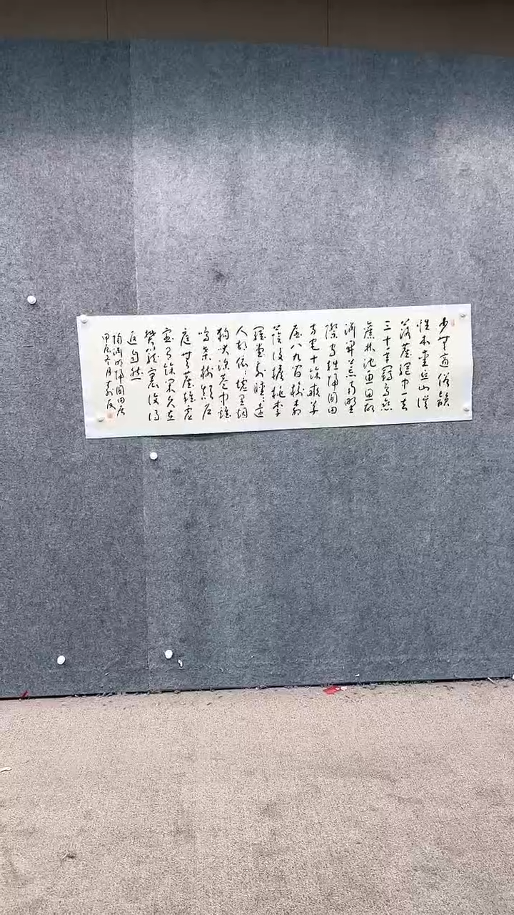 【闪购商品】书法pmw不二轩旗舰店书法ZSY49