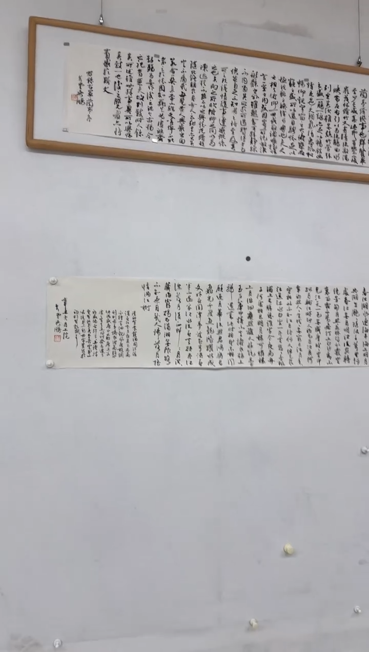 书法吴鹏-4平尺多字书法