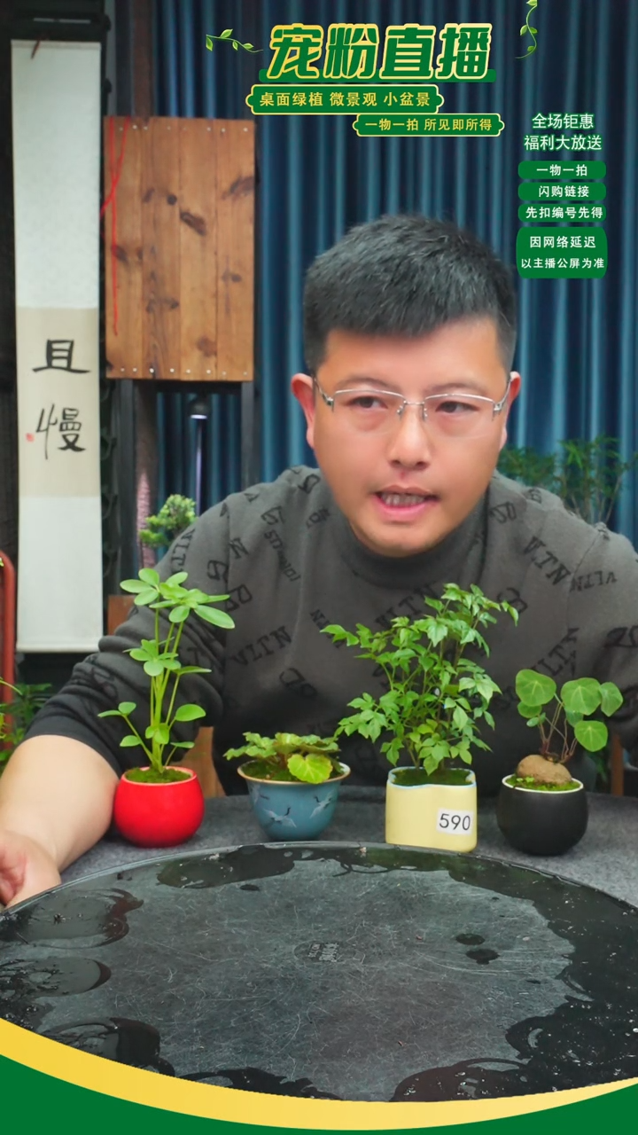 无花朵清**具苔藓微景观590号