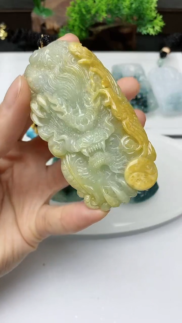 【闪购商品】翡翠颈饰未镶嵌        