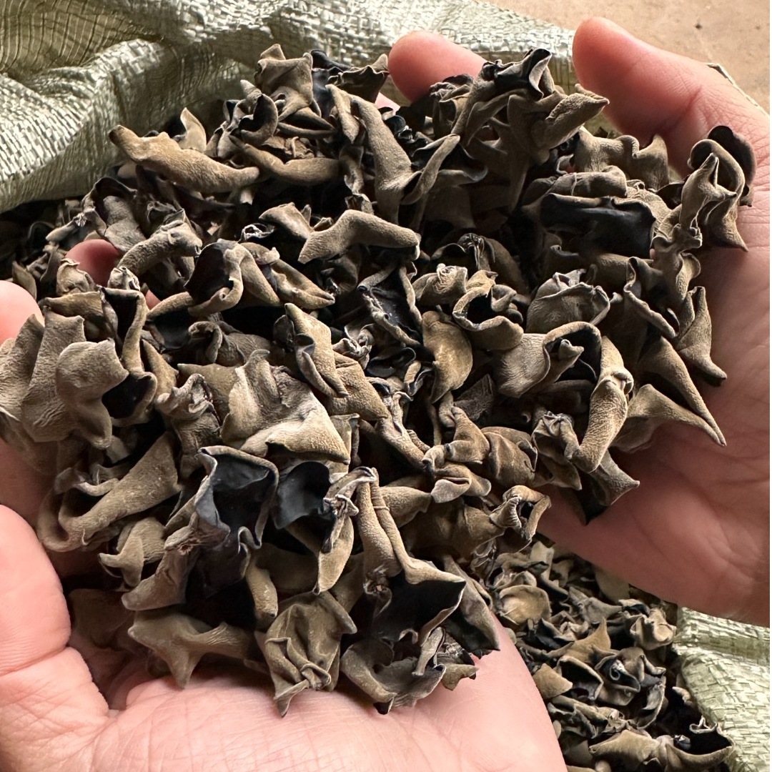 青原头茬冬耳200g