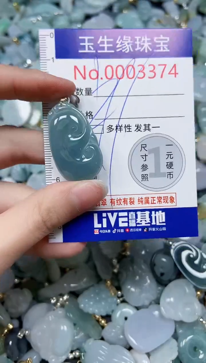 【闪购商品】翡翠颈饰未镶嵌闪购00003374