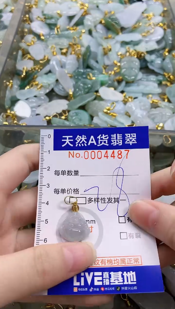 颈饰未镶嵌翡翠天然A货翡翠