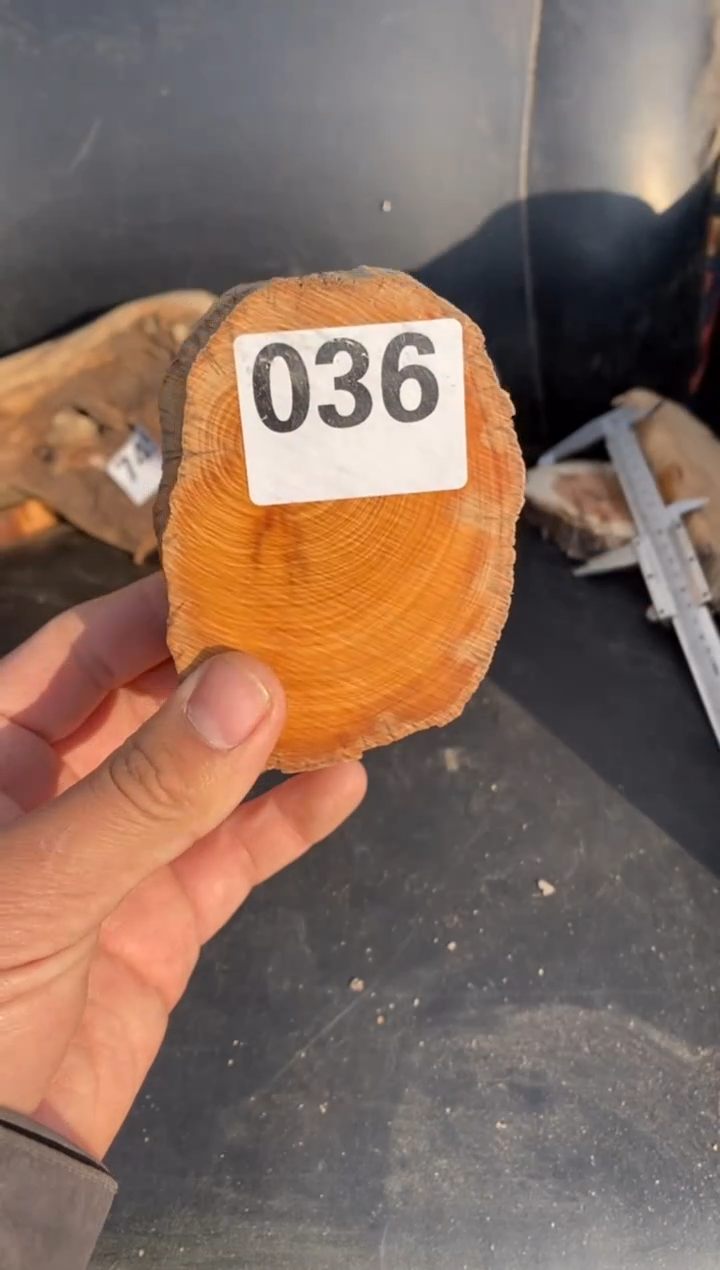 柏木（崖柏）太行陈化崖柏切片! 随机（1单1片）036