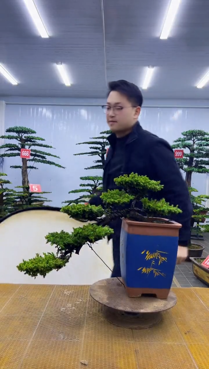 无花朵00000000000000