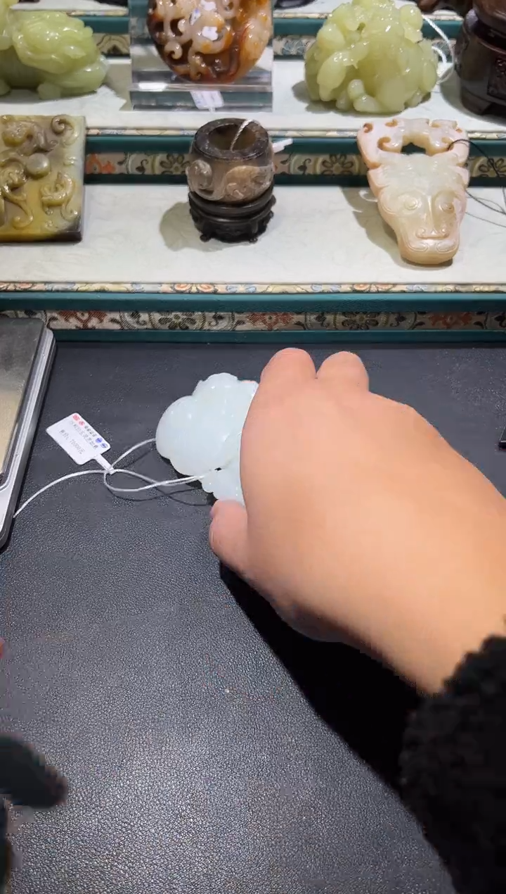 一****师灵芝如意2511070033
