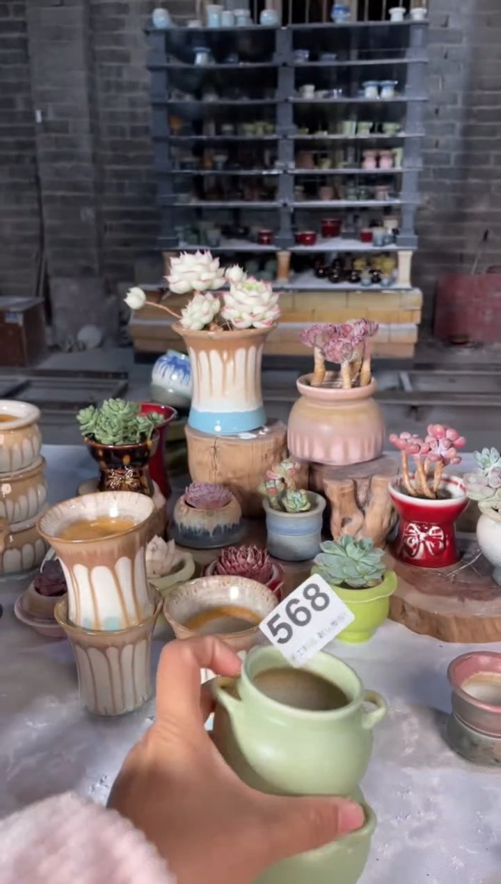 瓷片568小芳直播编号