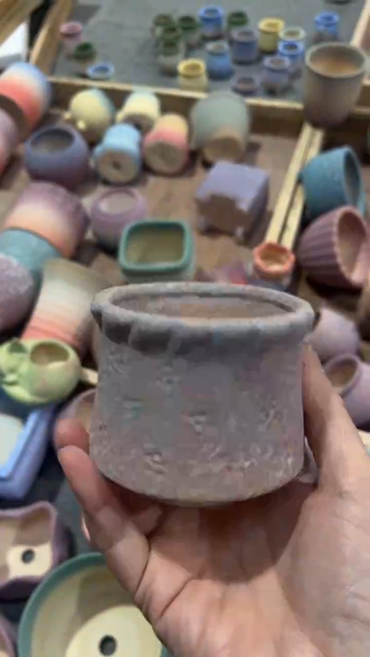 【闪购商品】红陶7*6