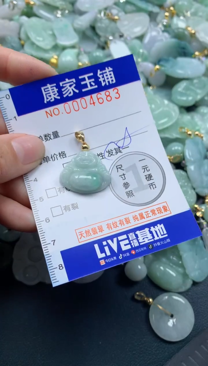 颈饰未镶嵌翡翠4683