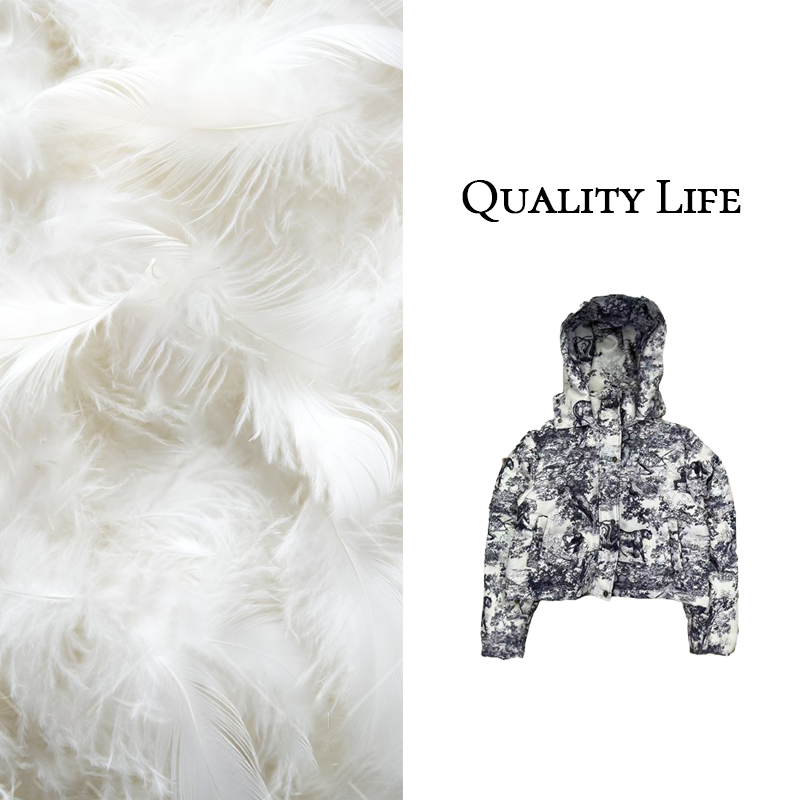 【YH】2025 冬季新款水墨画设计感休闲羽绒服Y3061