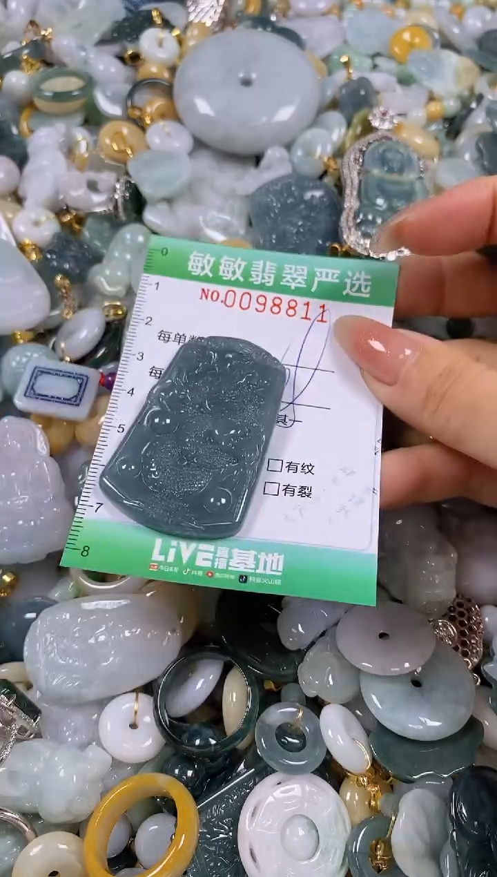 【闪购商品】翡翠颈饰未镶嵌闪购0098811