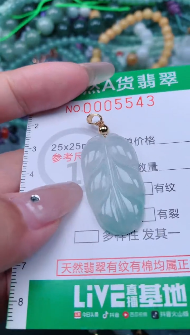 翡翠未镶嵌颈饰.0005543