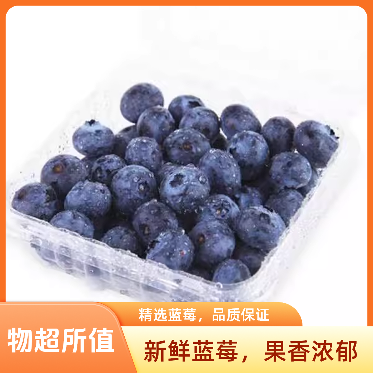 【护眼神器】15mm云南蓝莓1盒（125g/盒）